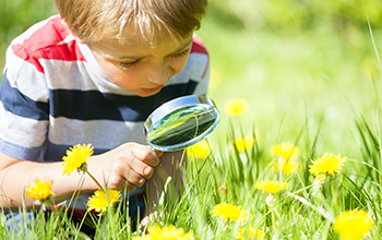 Boy in field looking at grass and flowers through a magnifying glass